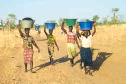 Во многих деревнях Мали воду приходиться носить издалека