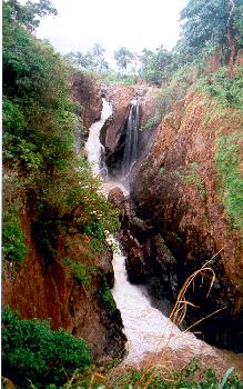 Небольшая река на юге Камеруна