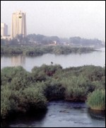 Река Нигер: контрасты - пышная растительность юга и пустынный заусшливый север