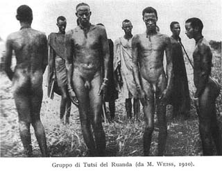 Вот такие тутси (фото 1910)