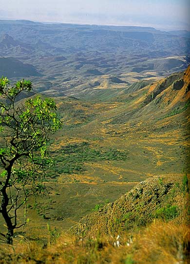 Вид на Зону Разломов с вершины уступа под Лозиило, в Кении