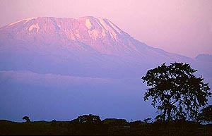 Крыша Африки - Килиманджаро